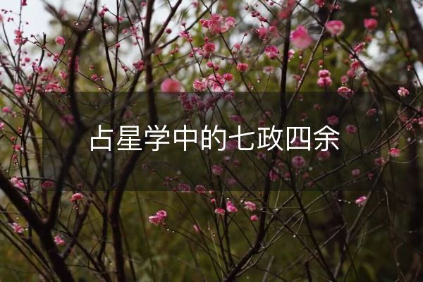 占星學(xué)中的七政四余