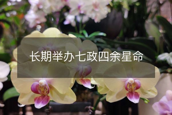 長(zhǎng)期舉辦七政四余星命