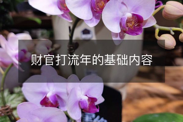 財(cái)官打流年的基礎(chǔ)內(nèi)容