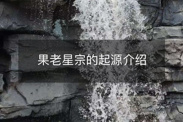 果老星宗的起源介紹