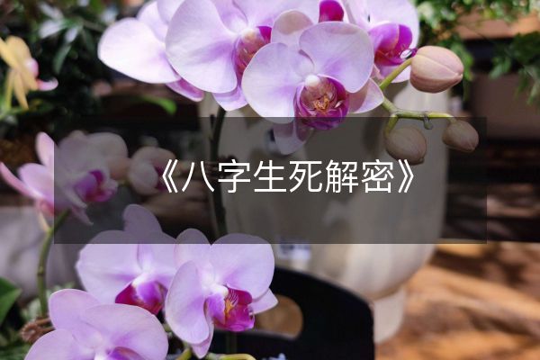 《八字生死解密》