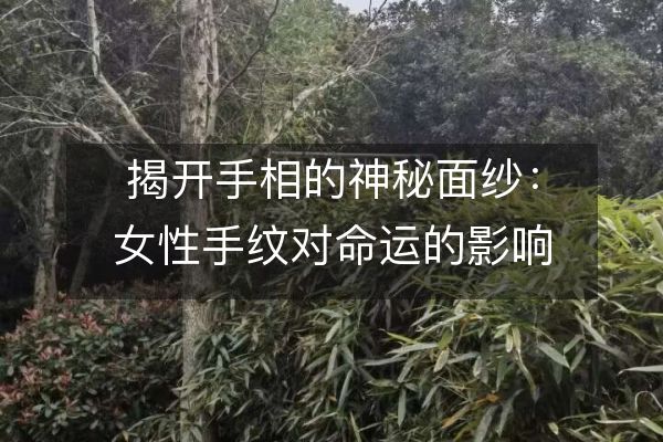 揭開手相的神秘面紗：女性手紋對命運的影響