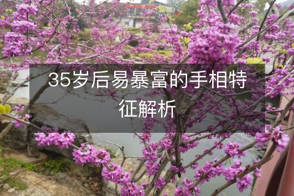 35歲后易暴富的手相特征解析