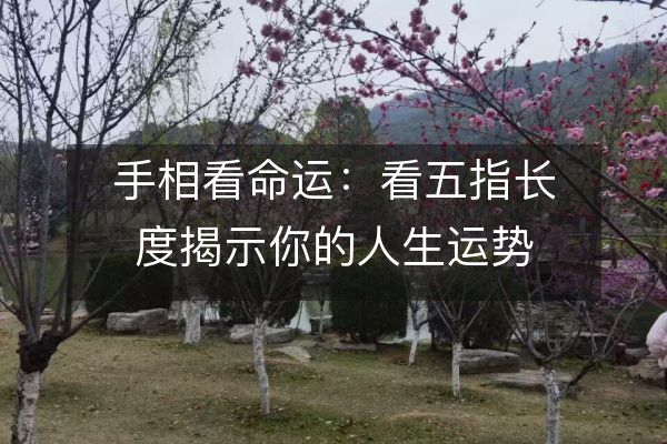 http://www.sikao-cn.com/d/file/shouxia/shouxiangsuanming/2023-06-18/301d554b79220590e2dc7fadf888f313.jpeg