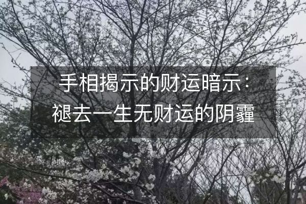 http://www.sikao-cn.com/d/file/shouxia/shouxiangsuanming/2023-06-19/d872ae61555fd71e5877483b9ccc5fbf.jpeg