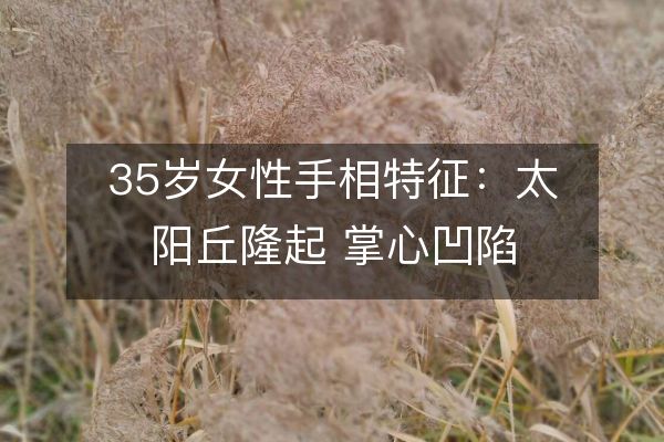 35歲女性手相特征：太陽丘隆起 掌心凹陷