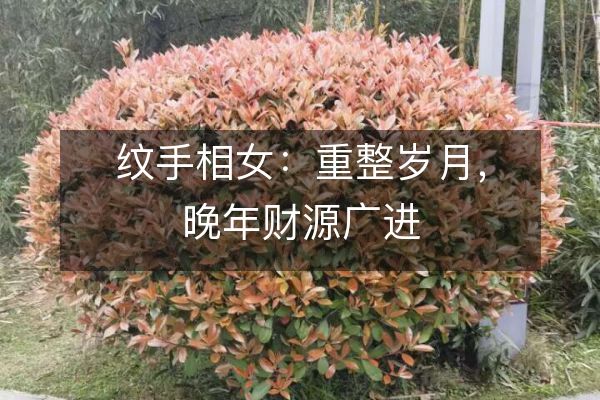 紋手相女：重整歲月，晚年財(cái)源廣進(jìn)