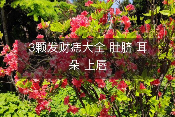 3顆發(fā)財痣大全 肚臍 耳朵 上唇