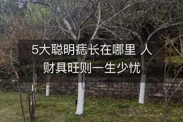 http://www.sikao-cn.com/d/file/shouxia/xiang/2023-05-09/ffda5c7f4f64611f743779576a3a04ca.jpeg