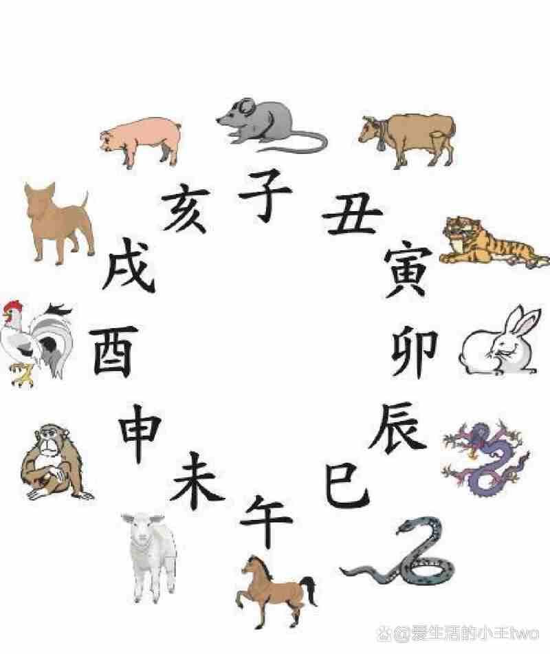 http://www.sikao-cn.com/d/file/sx/ji/2025-08-07/03c30480e31f7a6daa2573407daee0d8.jpeg