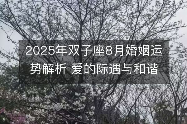 http://www.sikao-cn.com/d/file/xz/gemini/2025-08-03/31d4c105ce9199d1f33b4d8c3f66d9ae.jpeg