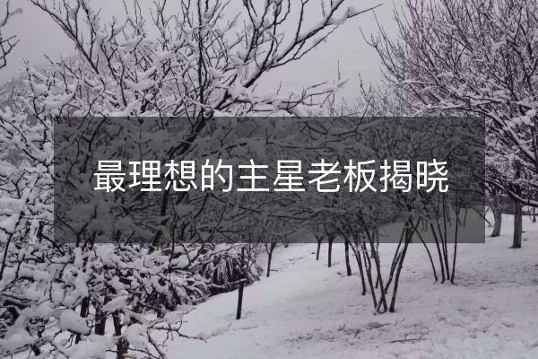 最理想的主星老板揭曉