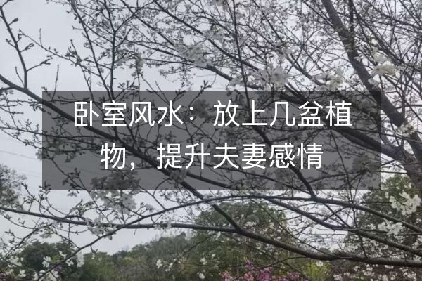 http://www.sikao-cn.com/d/file/zs/jj/2025-08-13/4f28a28669be4ab0edb26fa6cc951c51.jpeg