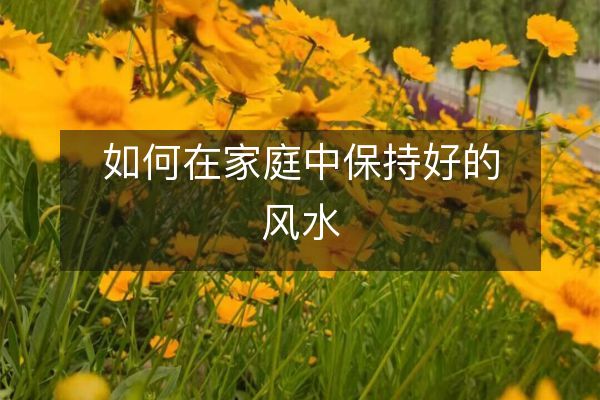 如何在家庭中保持好的風水